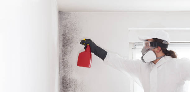 Trusted Redfield, AR Mold Remediation Experts